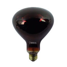 S00017-FOCO R40 250W INFRAROJO ROJO 130V