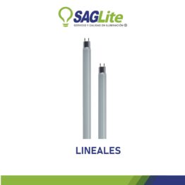 LINEALES