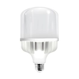 S00010-LED HW-100W 65K E39 100-277V